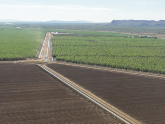 Irrigated agriculture in the Ord River Development. Developing northern Australia will involve trade-offs with biodiversity. (Image credit: Garry D. Cook)